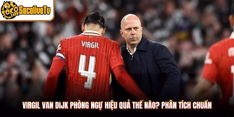 Virgil van Dijk Phòng Ngự Hiệu Quả Thế Nào? Phân Tích Chuẩn